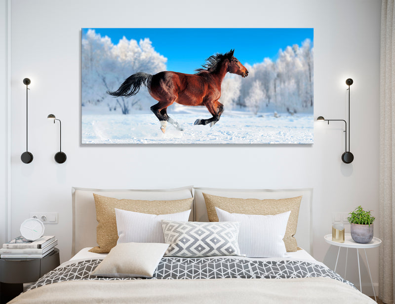 Steed Canvas Print #8137