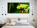 Lime Frog Canvas Print #8141