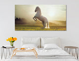 White Mustang Horse Canvas Print #8134
