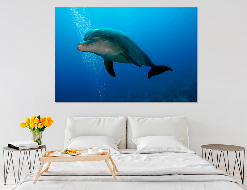 Dolphin Decor Canvas Print #8125