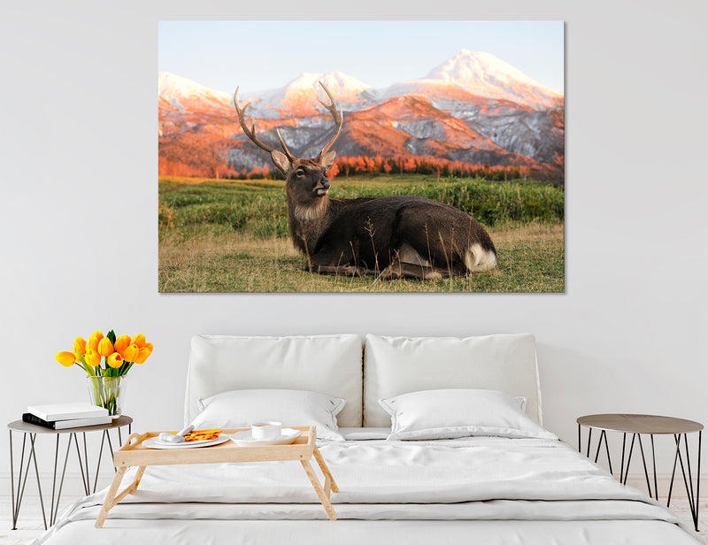 USA nature Canvas Print #8112