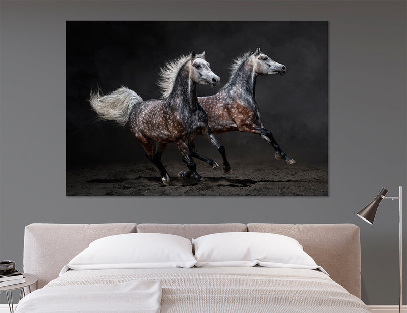 Wild Horses Canvas Print #8064