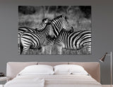 Zebras Canvas Print #8066