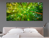 Treetops Canvas Print #7207