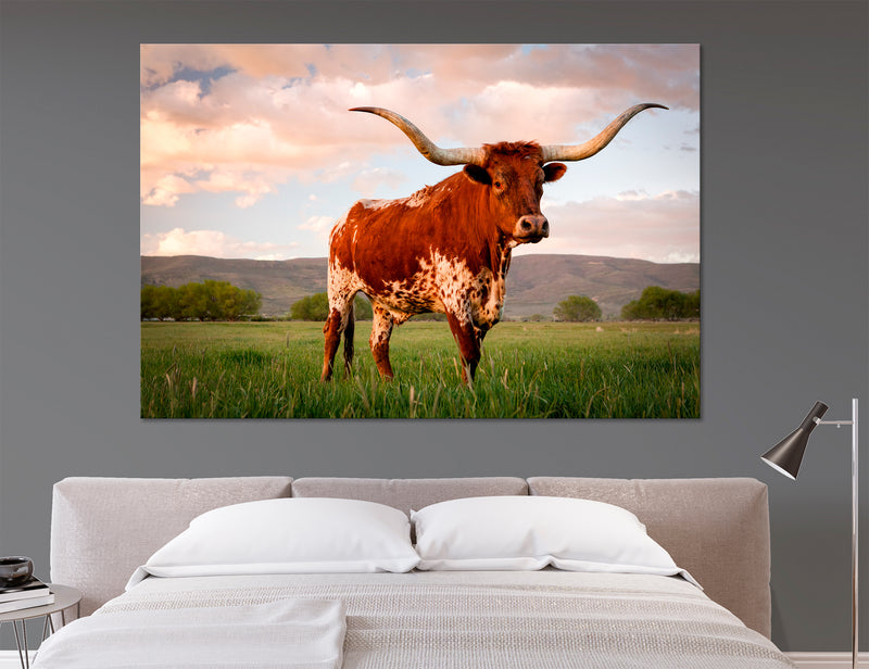 Texas Longhorn Canvas Print #2524