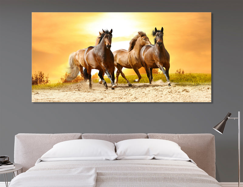 Herd of Horses Canvas Print #8136