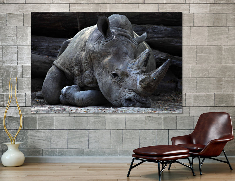 Rhinoceros Canvas Print #8081