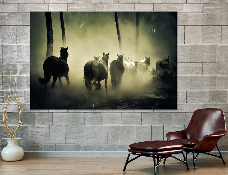 Horses in the Mist Canvas Print #8104