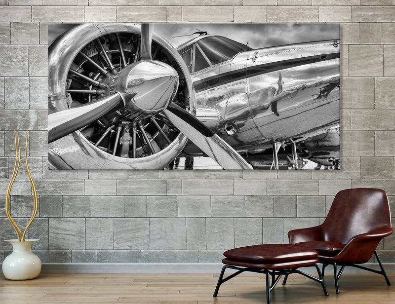 Silver Plane Canvas Print