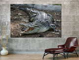 Crocodile Canvas Print #8116