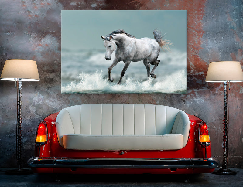 Arabian Horse Canvas Print #8204