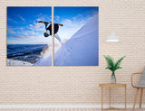 Ski Freestyle Canvas Print #4024