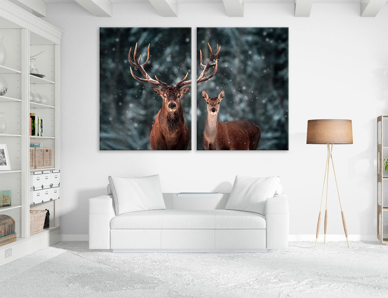 Deer Couple Canvas Print #8210