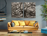 Branches Canvas Print #7581