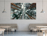 Trees Wall Art Canvas Print #7236