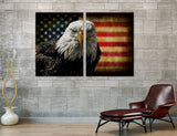 Us Eagle Flag Canvas Print #8212
