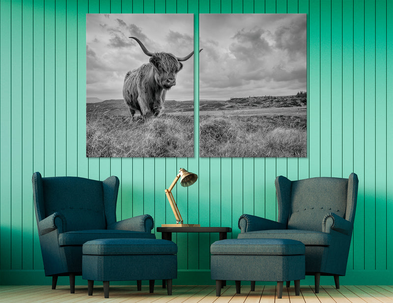 Highland Cattle Canvas Print #8200