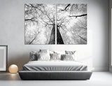 Tree Branch Canvas Print #6619
