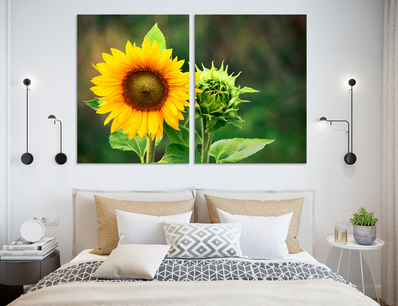 Sunflower Canvas Print #7553