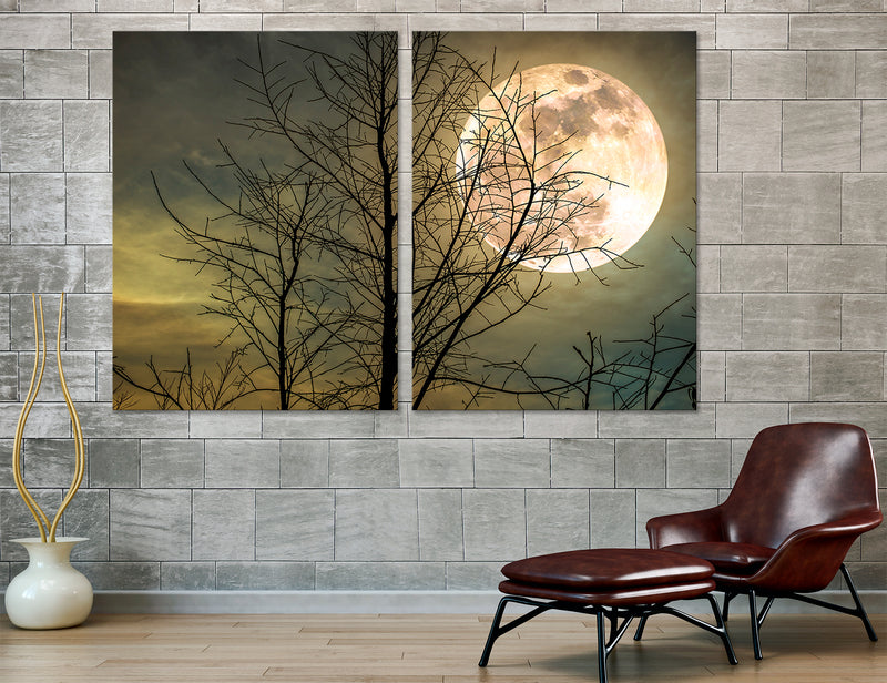 Full Moon Art Canvas Print #7237