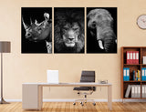 Fauna of Africa Canvas Print #8153