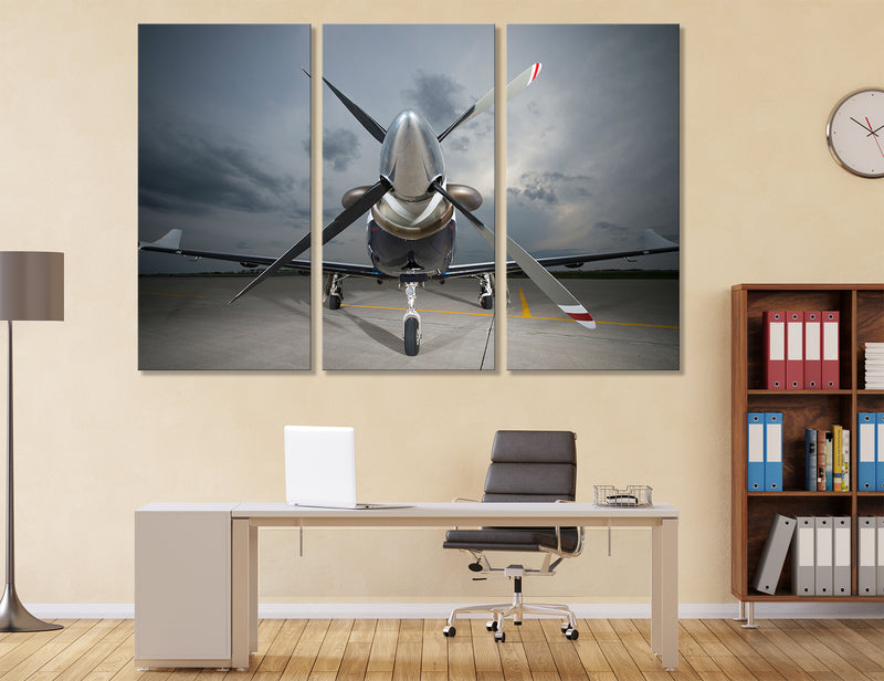 Airplane Canvas Print #3022