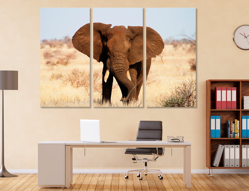 African Elephant Canvas Print #8109