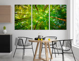 Treetops Canvas Print #7207