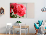 Rose Flower Canvas Print #7562