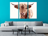 Large Cow Canvas Print #7580