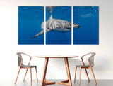 Shark Canvas Print #8146