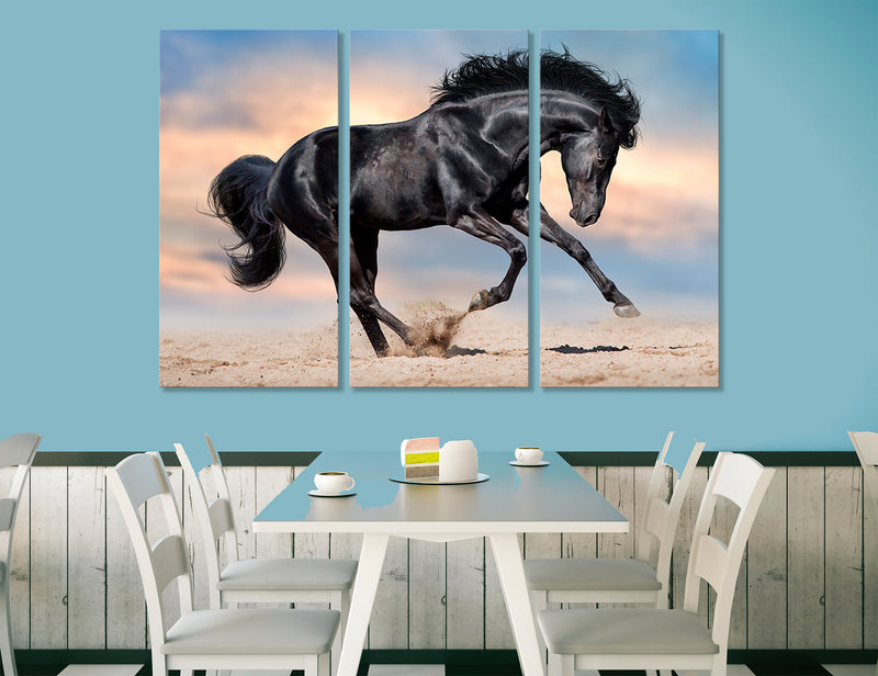 Stallion Canvas Print #8127