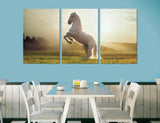 White Mustang Horse Canvas Print #8134