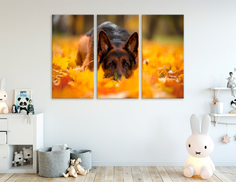 German Shepherd 3 Panel Canvas Print #8235