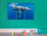 Humpback Whale Canvas Print #8207