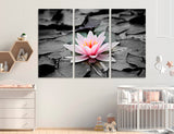 Lily Canvas Print #6503