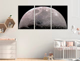 Lunar Craters Canvas Print #6080