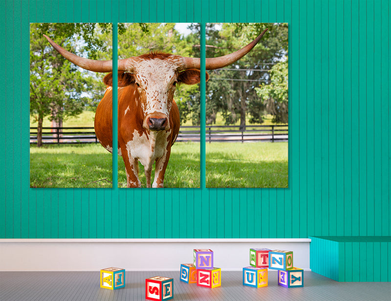 Horned Cow Canvas Print #8196
