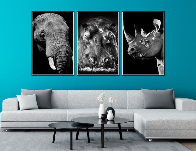 African Animals Canvas Print #8152