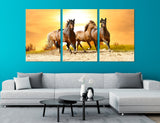 Herd of Horses Canvas Print #8136