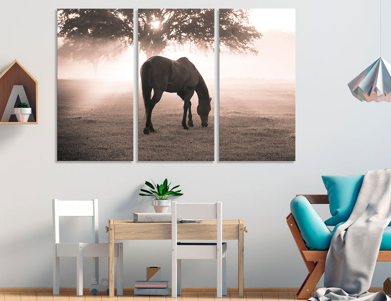 Lonely Horse Canvas Print #8121