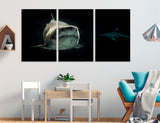 Shark in the Abyss Canvas Print #8150