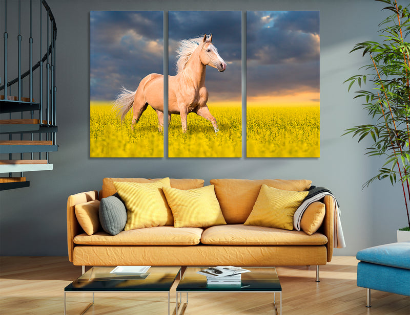 Horse in the Field Canvas Print #8063
