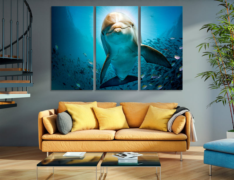 Dolphin Canvas Print #8124