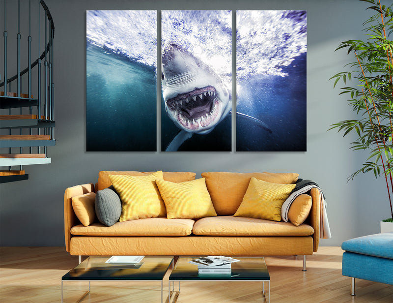 Shark Grin Canvas Print #8106