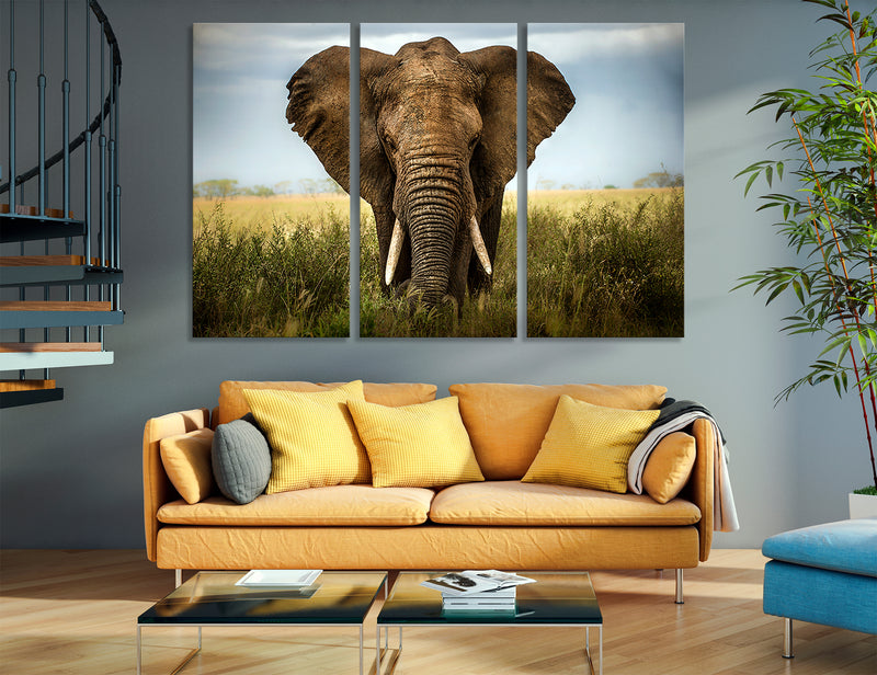 Elephant Canvas Print #8072