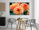 Buy Chrysanthemums Canvas Print #7567