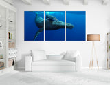 Little Whale Canvas Print #8145