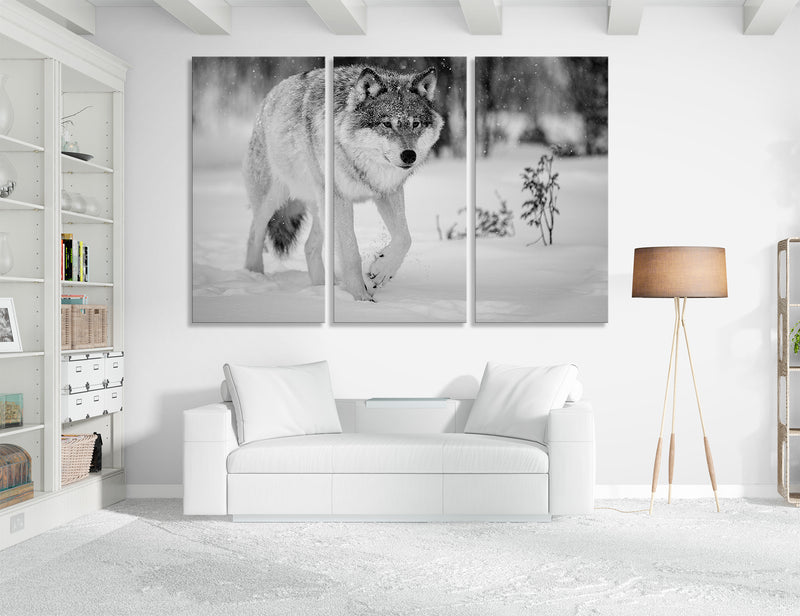 Wolf in Winter Canvas Print #8117