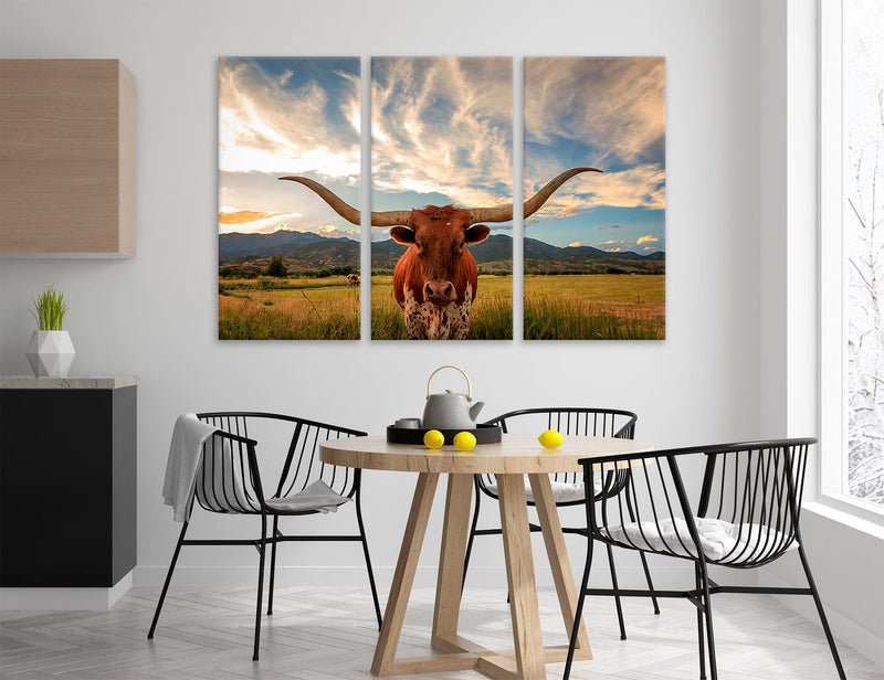 Texas Longhorn Canvas Print #8229